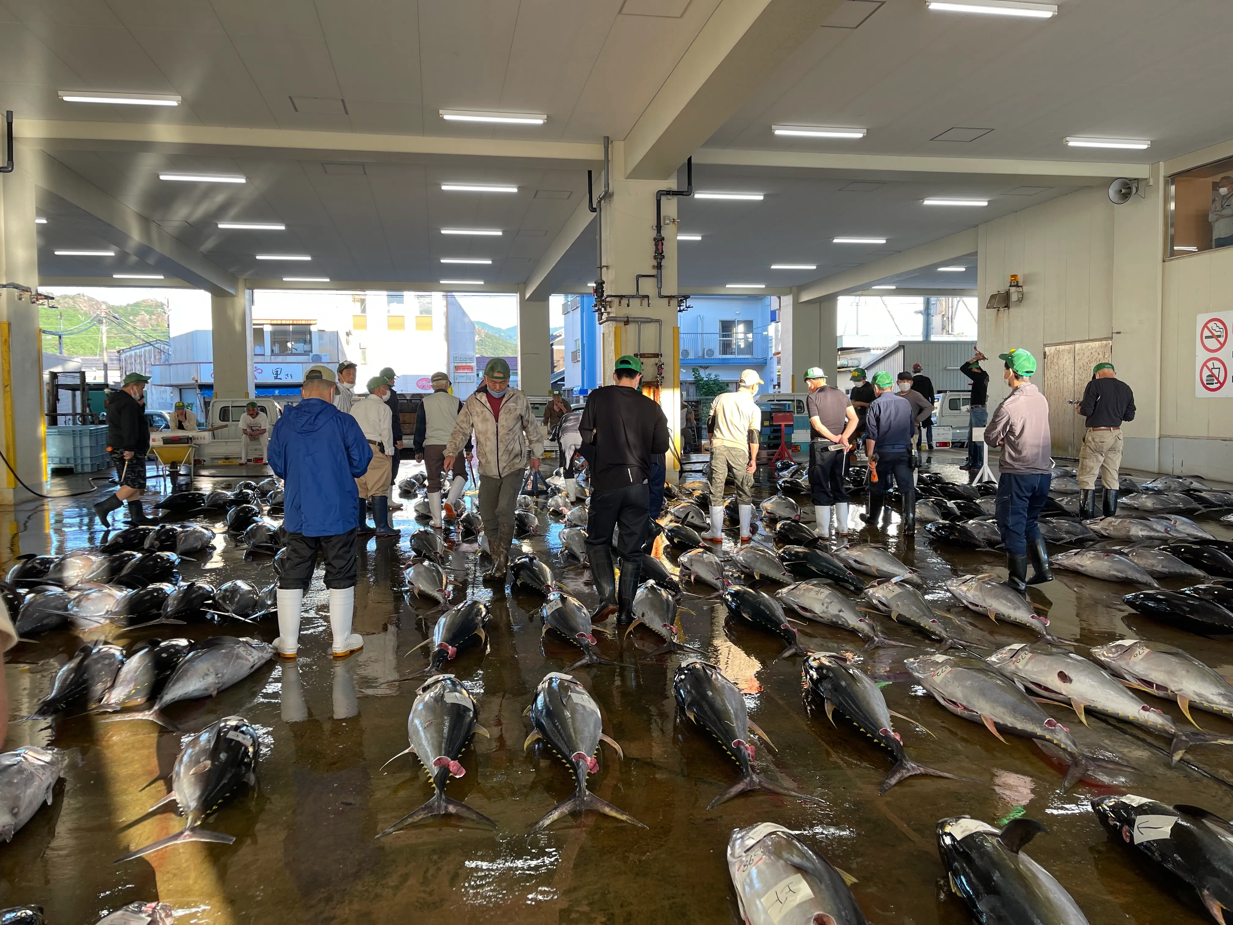 サカマオーダー イメージ