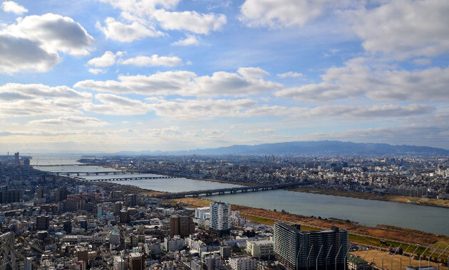 大阪湾は魚の宝庫、都会と共生する漁業
