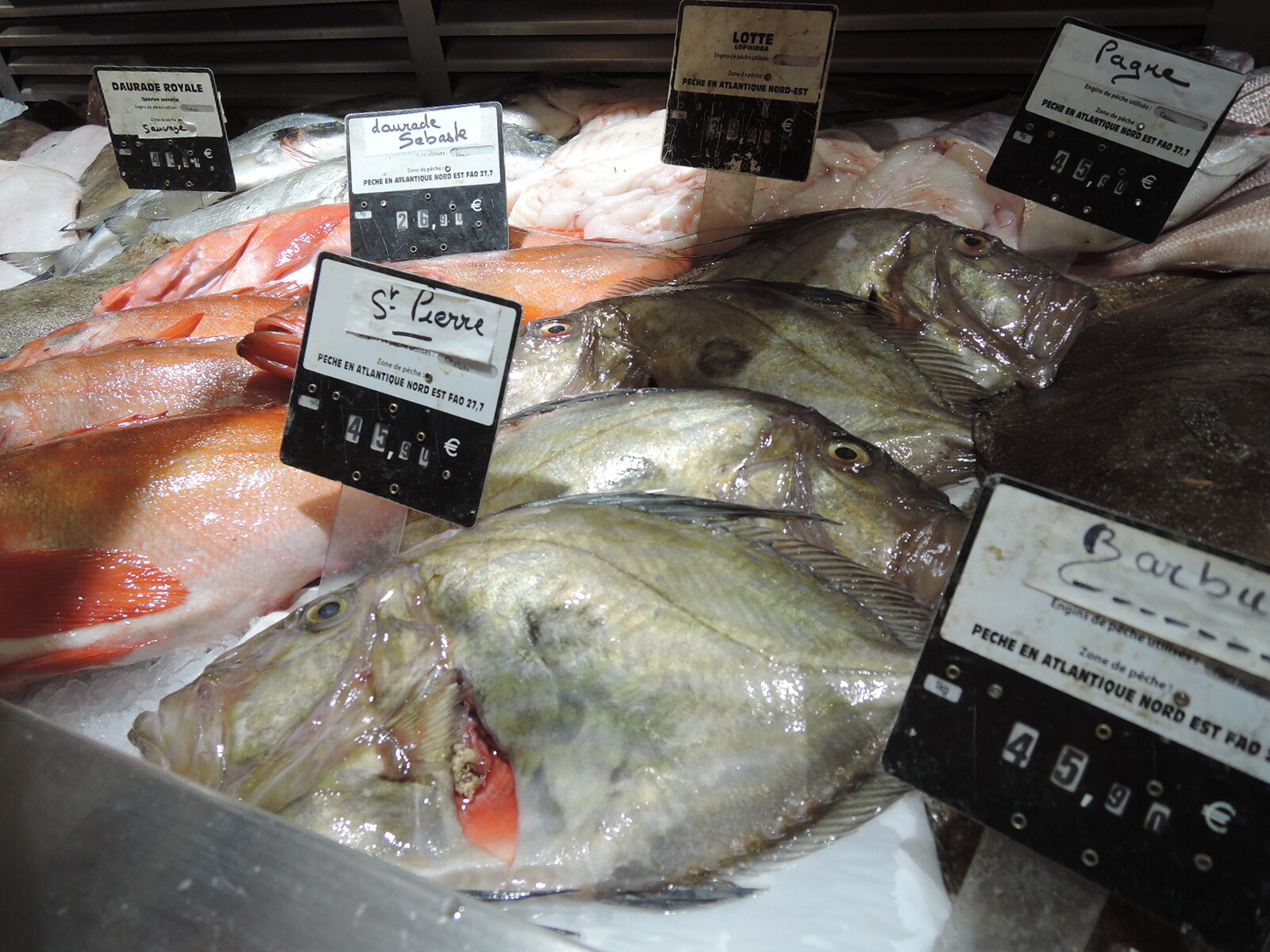 リヨン中央市場の魚売り場レポート